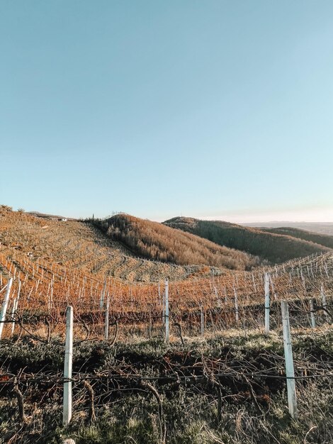 Foto landschaftliche aussicht auf ein ackerfeld vor klarem himmel