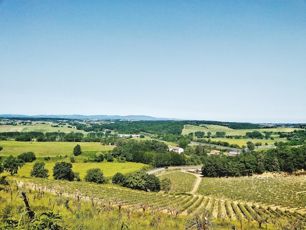 Foto landschaftliche aussicht auf ein ackerfeld vor klarem himmel