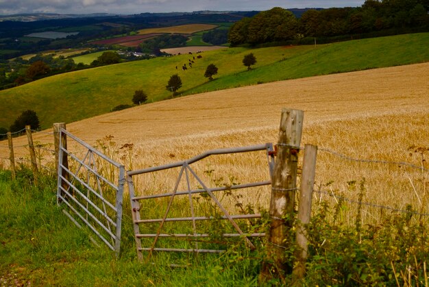 Foto landschaftliche aussicht auf ein ackerland