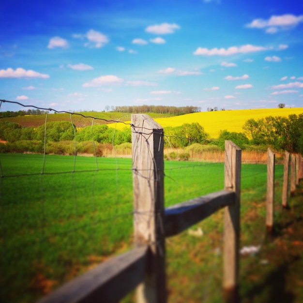 Foto landschaftliche aussicht auf ein grasbewachsenes feld gegen den himmel