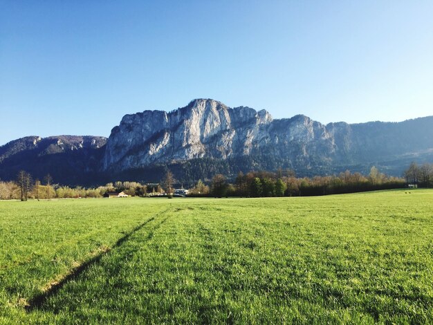 Landschaftliche Aussicht auf ein grasbewachsenes Feld vor blauem Himmel