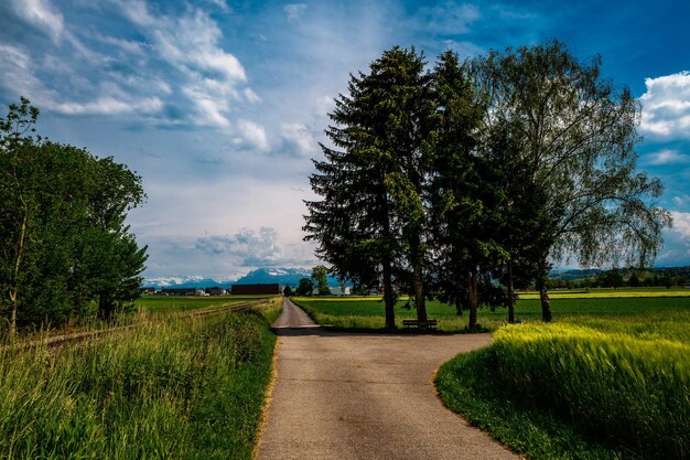 Landschaftliche Aussicht auf ein Grasfeld vor dem Himmel