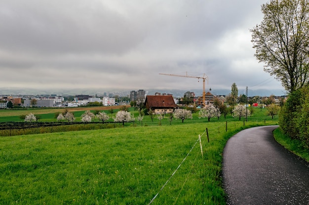 Foto landschaftliche aussicht auf ein grasfeld vor einem bewölkten himmel