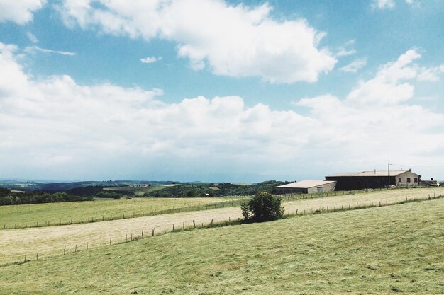 Foto landschaftliche aussicht auf ein grasfeld vor einem bewölkten himmel