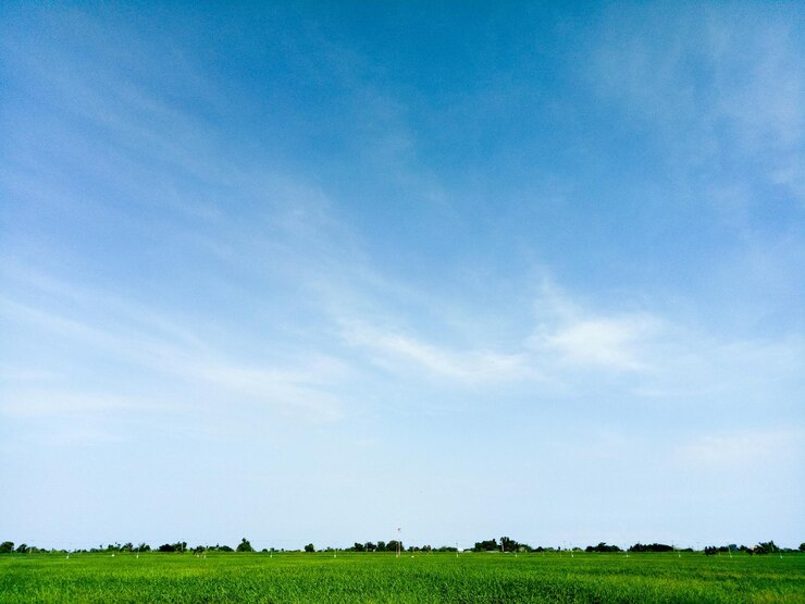 Foto landschaftliche aussicht auf ein landwirtschaftliches feld vor blauem himmel
