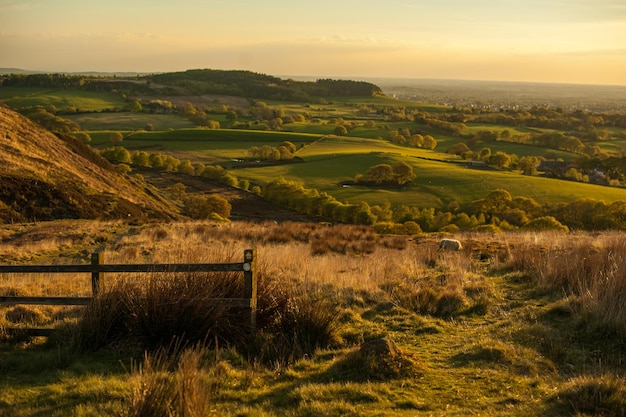 Landschaftliche Aussicht auf ein landwirtschaftliches Feld vor dem Himmel beim Sonnenuntergang