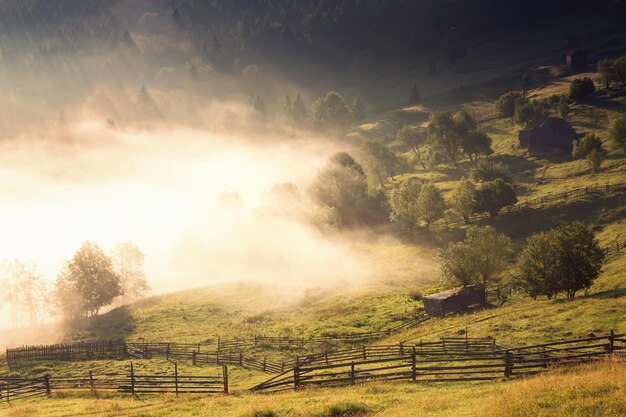 Foto landschaftliche aussicht auf ein landwirtschaftliches feld vor dem himmel