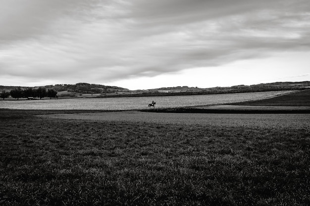 Landschaftliche Aussicht auf ein landwirtschaftliches Feld vor dem Himmel