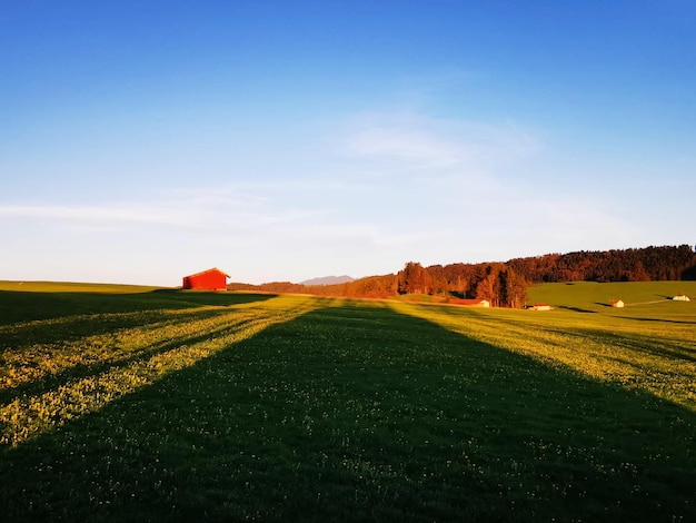 Landschaftliche Aussicht auf ein landwirtschaftliches Feld vor dem Himmel