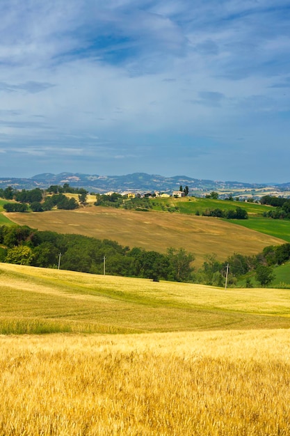 Foto landschaftliche aussicht auf ein landwirtschaftliches feld vor dem himmel