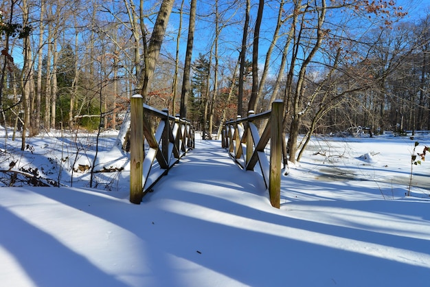Landschaftliche Aussicht auf ein schneebedecktes Feld