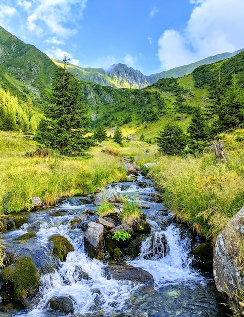 Foto landschaftliche aussicht auf einen fluss, der inmitten von bäumen gegen den himmel fließt