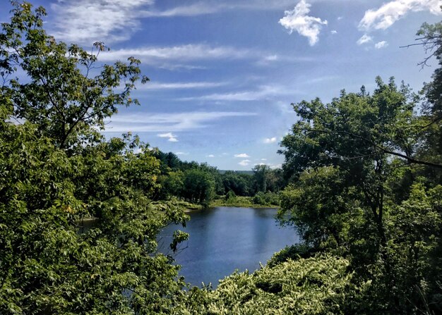 Foto landschaftliche aussicht auf einen see im wald gegen den himmel