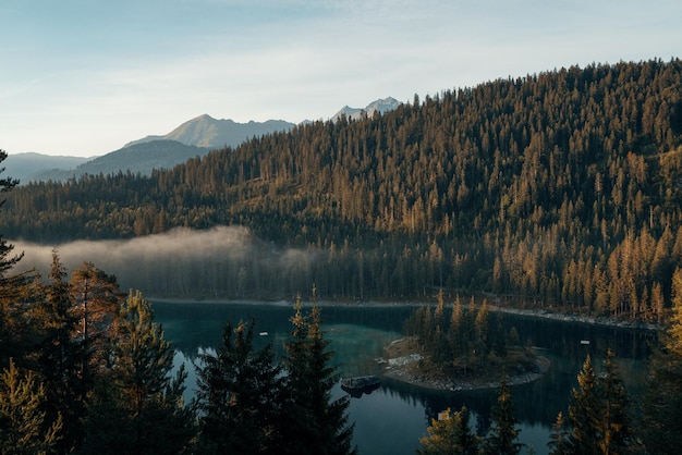 Landschaftliche Aussicht auf einen See im Wald gegen den Himmel