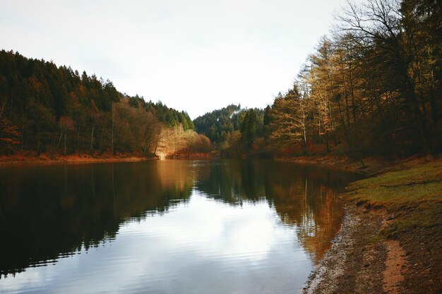 Foto landschaftliche aussicht auf einen see im wald gegen den himmel