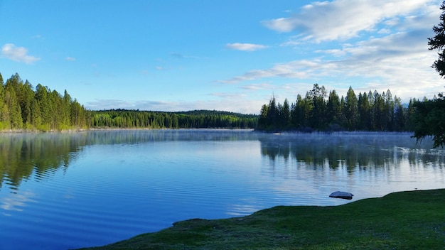 Landschaftliche Aussicht auf einen See im Wald gegen den Himmel