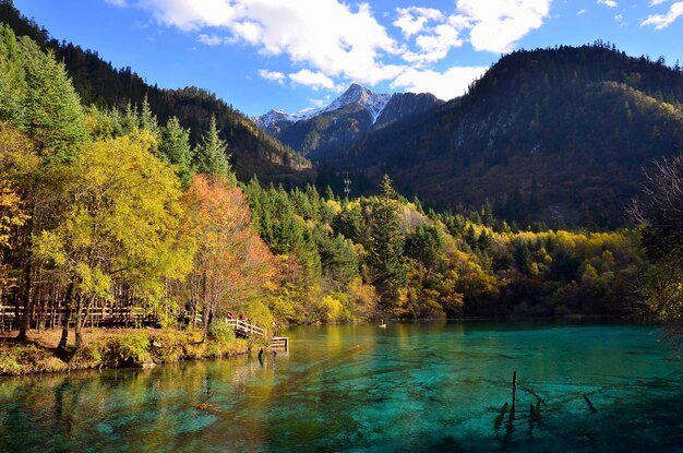 Landschaftliche Aussicht auf einen See im Wald gegen den Himmel