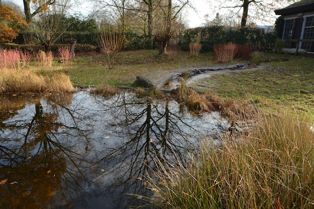 Landschaftliche Aussicht auf einen See im Wald