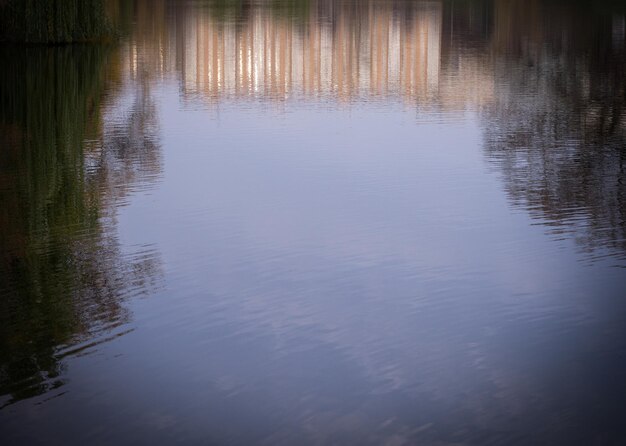 Foto landschaftliche aussicht auf einen see im wald