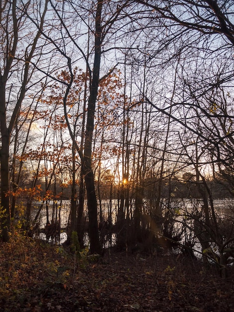 Foto landschaftliche aussicht auf einen see im wald