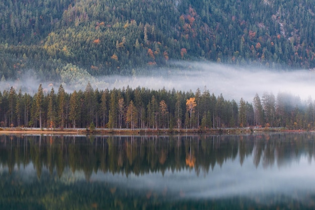 Foto landschaftliche aussicht auf einen see im wald