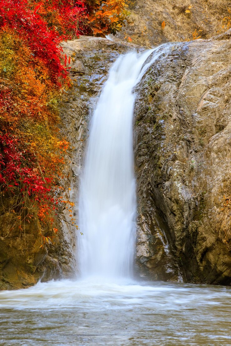 Foto landschaftliche aussicht auf einen wasserfall im wald