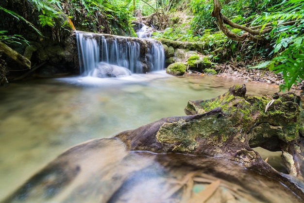 Landschaftliche Aussicht auf einen Wasserfall im Wald