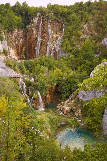 Foto landschaftliche aussicht auf einen wasserfall im wald