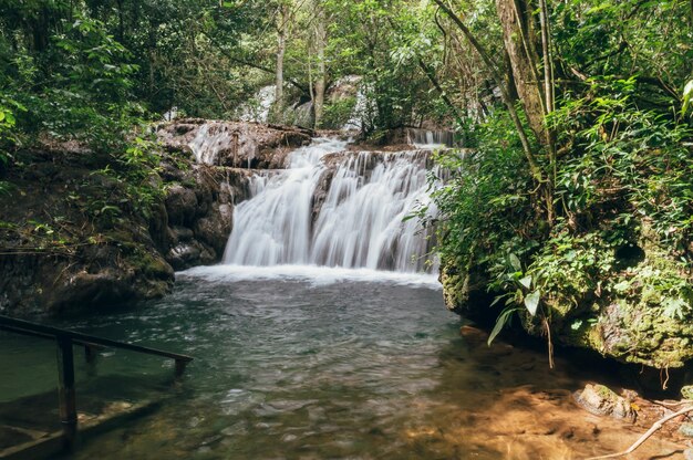 Foto landschaftliche aussicht auf einen wasserfall im wald