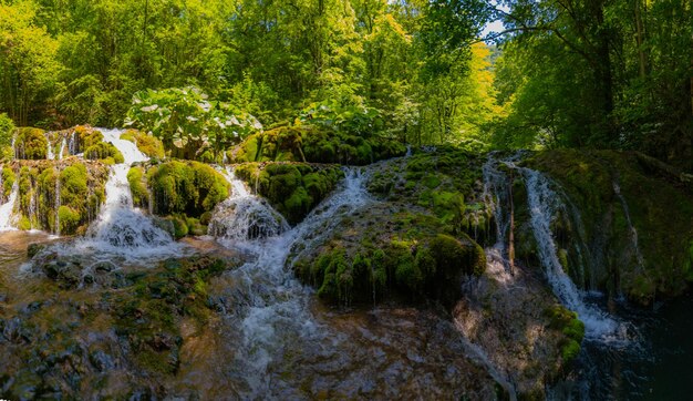 Landschaftliche Aussicht auf einen Wasserfall im Wald