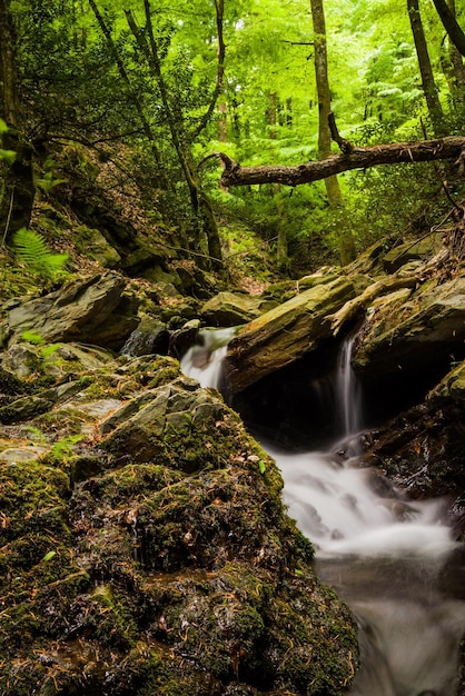 Foto landschaftliche aussicht auf einen wasserfall im wald