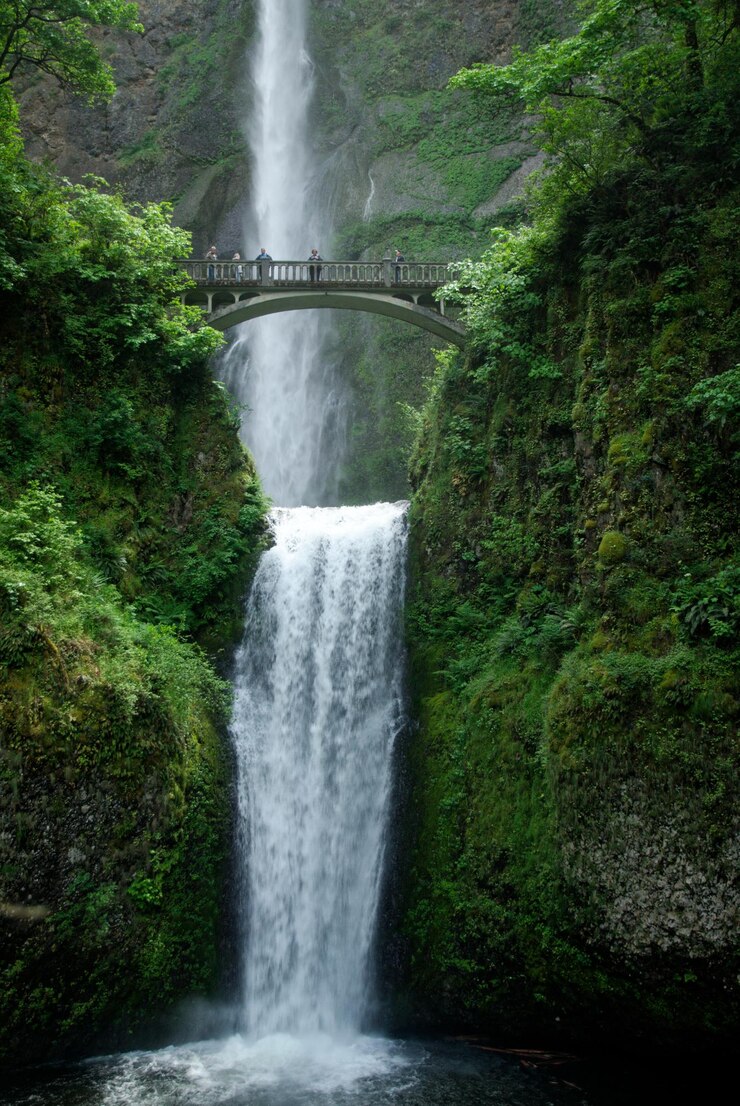 Foto landschaftliche aussicht auf einen wasserfall im wald
