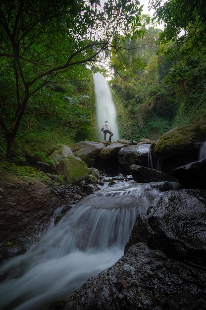 Landschaftliche Aussicht auf einen Wasserfall im Wald