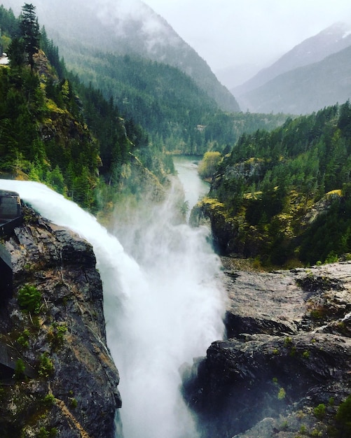 Foto landschaftliche aussicht auf einen wasserfall im wald