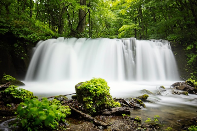 Landschaftliche Aussicht auf einen Wasserfall im Wald
