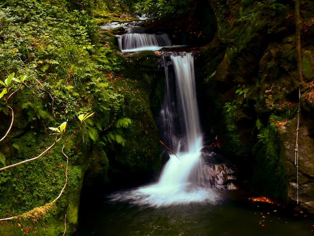 Landschaftliche Aussicht auf einen Wasserfall im Wald