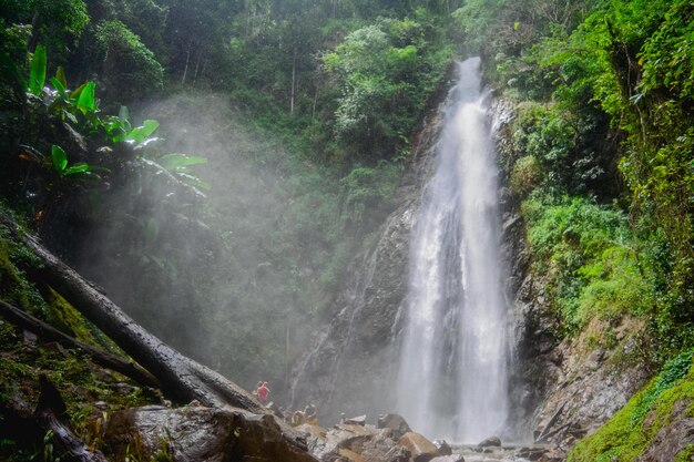 Landschaftliche Aussicht auf einen Wasserfall im Wald