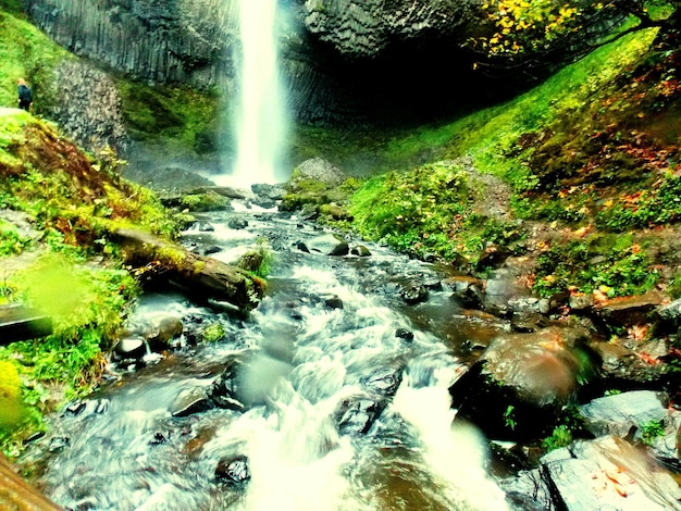 Landschaftliche Aussicht auf einen Wasserfall im Wald