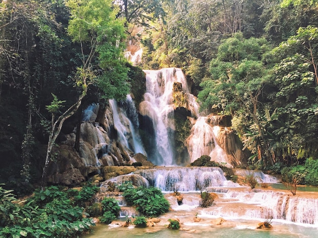 Landschaftliche Aussicht auf einen Wasserfall im Wald