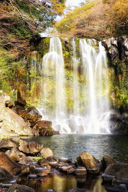 Foto landschaftliche aussicht auf einen wasserfall im wald