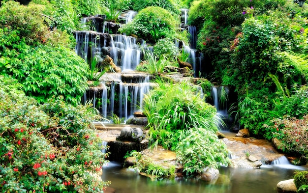 Foto landschaftliche aussicht auf einen wasserfall im wald