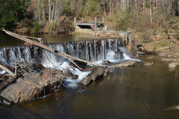 Landschaftliche Aussicht auf einen Wasserfall im Wald