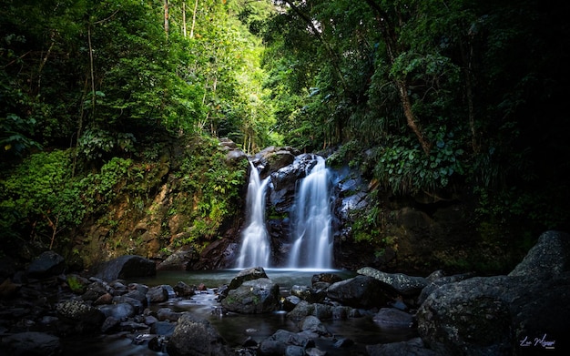 Landschaftliche Aussicht auf einen Wasserfall im Wald