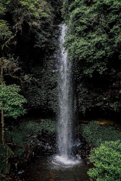 Landschaftliche Aussicht auf einen Wasserfall im Wald