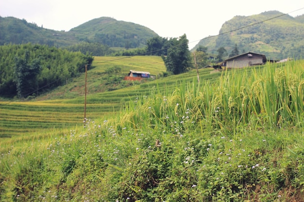 Landschaftliche Aussicht auf Felder und Häuser vor den Bergen