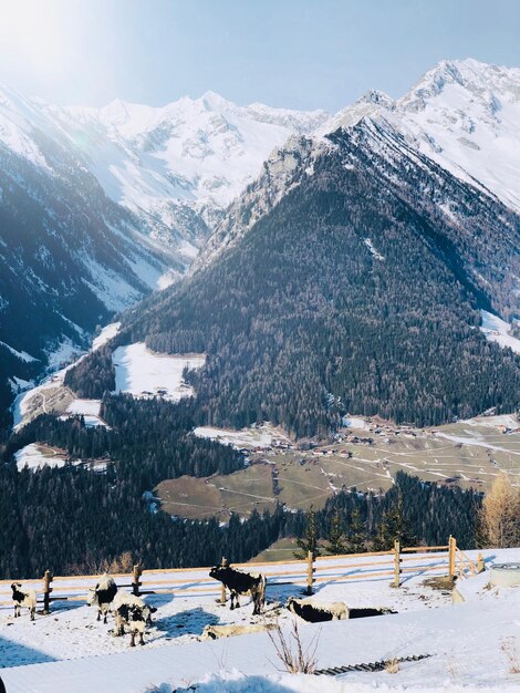 Foto landschaftliche aussicht auf schneebedeckte berge gegen den himmel