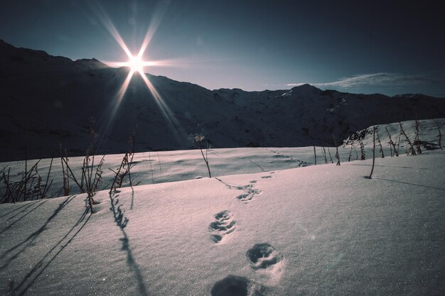 Foto landschaftliche aussicht auf schneebedeckte berge vor der hellen sonne