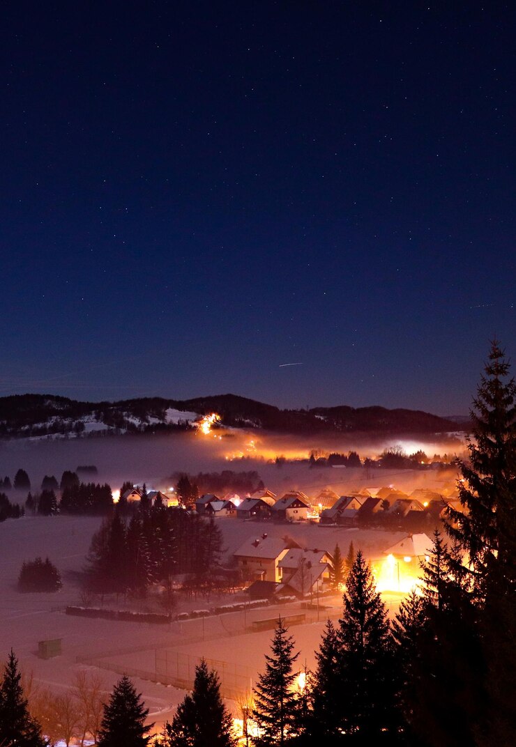 Foto landschaftliche aussicht auf silhouetten von bäumen gegen den nachthimmel