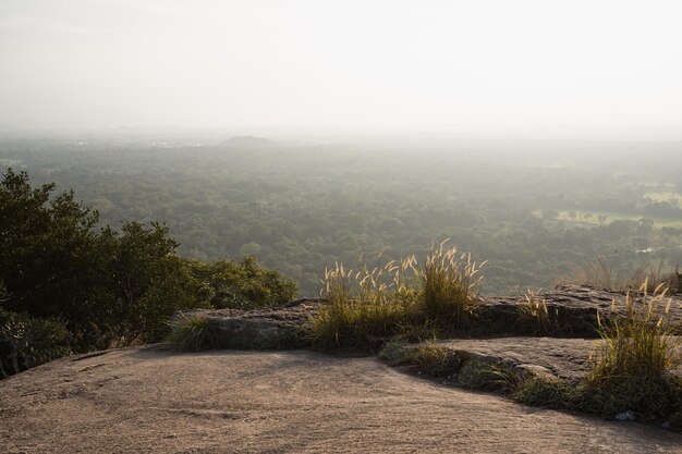 Landschaftliche Aussicht vom Gipfel eines Berges in Sri Lanka