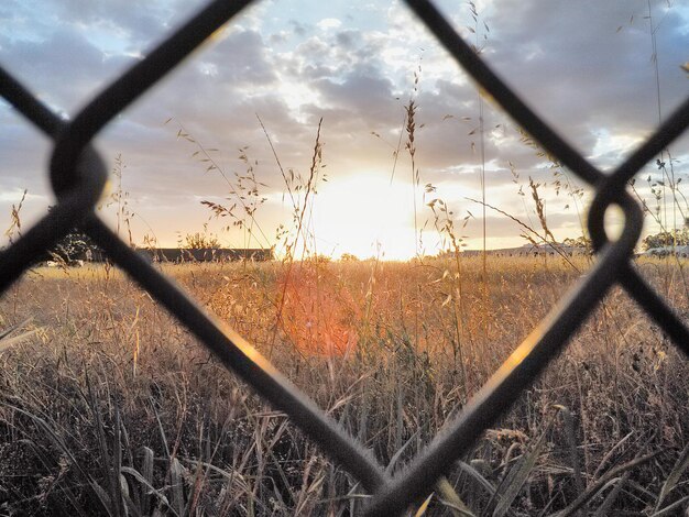 Foto landschaftliche landschaft bei sonnenuntergang